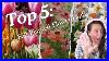 Top-5-Best-Fall-Planted-Bulbs-For-Cut-Flowers-Backyard-Cut-Flower-Farm-01-cag