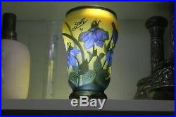 Très Beau Vase Galle Belle Copie Type Galle Motif Floral
