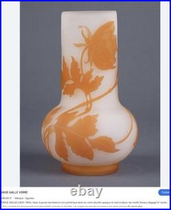 Très Gros Vase En Pte De Verre Dégagé À L'acide Dlg Émile Gallé, Legras, Daum Très Gros Vase En Pte De Verre Dégagé À L'acide Dlg Émile Gallé, Legras, Daum