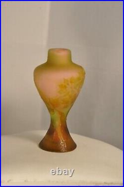 Vase Ancien Pate De Verre Signe Galle Antique Signed Art Nouveau Cameo Glass