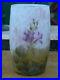 Vase-Art-Nouveau-Verre-degage-a-l-acide-Daum-Nancy-Fleurs-de-Lin-circa-1905-01-vby