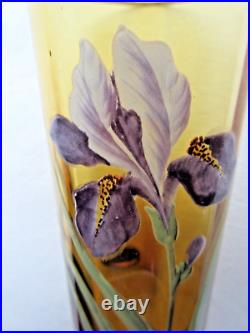 Vase Art Nouveau ou grand verre ambre émaillé Legras Iris bleu Vase Art Nouveau ou grand verre ambre émaillé Legras Iris bleu