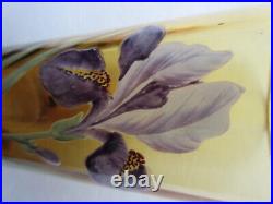 Vase Art Nouveau ou grand verre ambre émaillé Legras Iris bleu Vase Art Nouveau ou grand verre ambre émaillé Legras Iris bleu