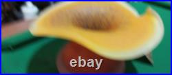 Vase Arum Verrerie De Toul