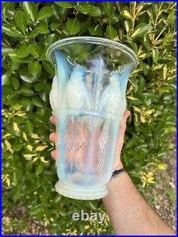 Vase Aux Perruches & Verlux & Opalescent & Vers 1930