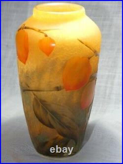 Vase DAUM Aux Physalis 1910-1914 verrerie pâte de verre