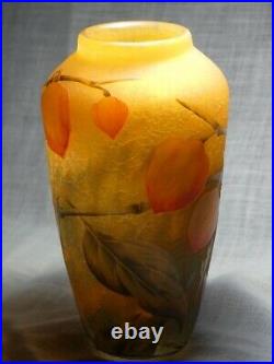 Vase DAUM Aux Physalis 1910-1914 verrerie pâte de verre