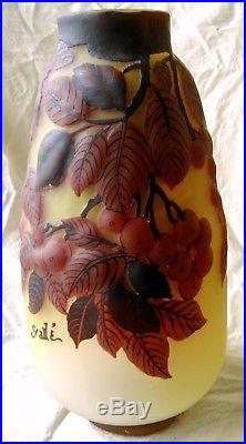 Vase Emile Gallé, décor fruits en relief