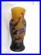 Vase-Galle-TIP-a-Decor-floral-degage-a-l-acide-01-yxc