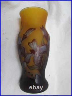 Vase Gallé TIP à Décor floral dégagé à l'acide Vase Gallé TIP à Décor floral dégagé à l'acide