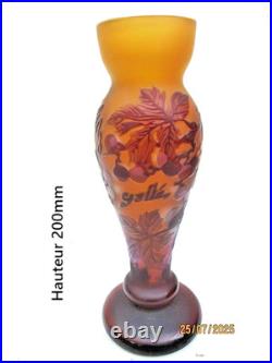 Vase Gallé TIP à Décor floral pampres de vigne dégagé à l'acide