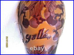 Vase Gallé TIP à Décor floral pampres de vigne dégagé à l'acide