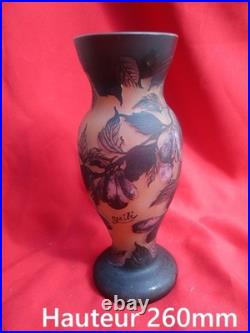 Vase Gallé TIP en verre multicouches dégagé à l'acide