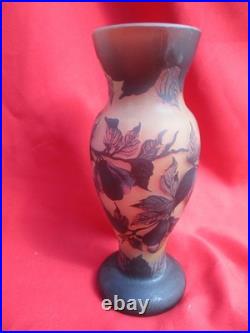 Vase Gallé TIP en verre multicouches dégagé à l'acide