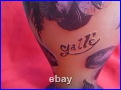 Vase Gallé TIP en verre multicouches dégagé à l'acide