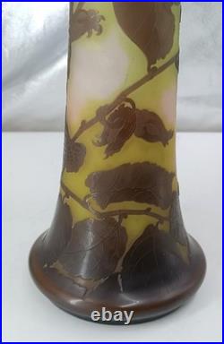 Vase Gallé, camée, Nancy, France, avec étoile, premières vingt années du XXe siè