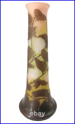 Vase Gallé, camée, Nancy, France, avec étoile, premières vingt années du XXe siè