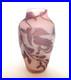 Vase-Galle-signature-a-l-etoile-glycine-sur-fond-rose-art-nouveau-01-vx