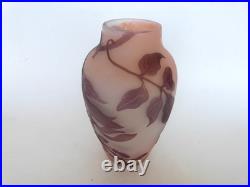 Vase Gallé signature à l'étoile glycine sur fond rose art nouveau Vase Gallé signature à l'étoile glycine sur fond rose art nouveau