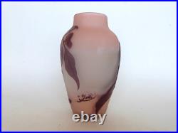 Vase Gallé signature à l'étoile glycine sur fond rose art nouveau Vase Gallé signature à l'étoile glycine sur fond rose art nouveau