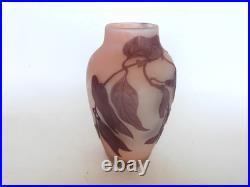Vase Gallé signature à l'étoile glycine sur fond rose art nouveau Vase Gallé signature à l'étoile glycine sur fond rose art nouveau
