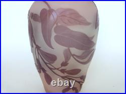 Vase Gallé signature à l'étoile glycine sur fond rose art nouveau Vase Gallé signature à l'étoile glycine sur fond rose art nouveau