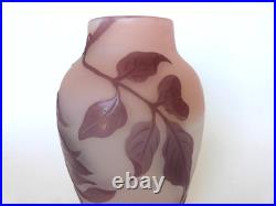 Vase Gallé signature à l'étoile glycine sur fond rose art nouveau Vase Gallé signature à l'étoile glycine sur fond rose art nouveau