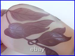 Vase Gallé signature à l'étoile glycine sur fond rose art nouveau Vase Gallé signature à l'étoile glycine sur fond rose art nouveau