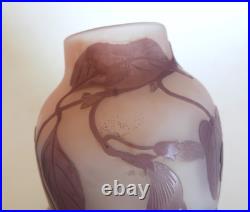 Vase Gallé signature à l'étoile glycine sur fond rose art nouveau Vase Gallé signature à l'étoile glycine sur fond rose art nouveau