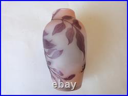 Vase Gallé signature à l'étoile glycine sur fond rose art nouveau Vase Gallé signature à l'étoile glycine sur fond rose art nouveau