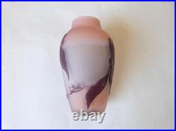 Vase Gallé signature à l'étoile glycine sur fond rose art nouveau Vase Gallé signature à l'étoile glycine sur fond rose art nouveau