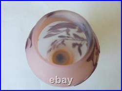 Vase Gallé signature à l'étoile glycine sur fond rose art nouveau Vase Gallé signature à l'étoile glycine sur fond rose art nouveau