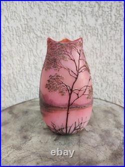 Vase Legras Signé d un verrier français vases dégagé a l'acide arts Nouveau 1880