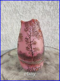 Vase Legras Signé d un verrier français vases dégagé a l'acide arts Nouveau 1880
