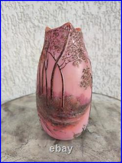 Vase Legras Signé d un verrier français vases dégagé a l'acide arts Nouveau 1880