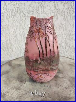 Vase Legras Signé d un verrier français vases dégagé a l'acide arts Nouveau 1880