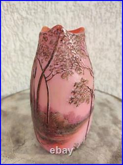 Vase Legras Signé d un verrier français vases dégagé a l'acide arts Nouveau 1880