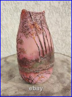 Vase Legras Signé d un verrier français vases dégagé a l'acide arts Nouveau 1880
