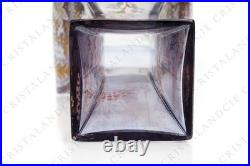 Vase aux fleurs émaillées par Baccarat XIXè. Vase with enameled flowers Baccat