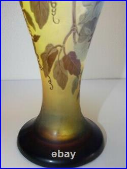 Vase bignone émile Gallé 1846-1904 école de Nancy verrerie Art Nouveau