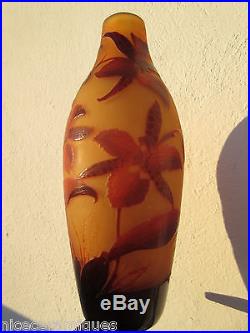 Vase d argental pate de verre dégagé acidefleur éxotique. Rouge/jaune. Daum. Gallé