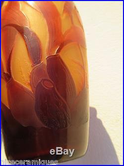Vase d argental pate de verre dégagé acidefleur éxotique. Rouge/jaune. Daum. Gallé