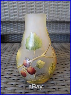 Vase daum Nancy baies sauvages. Art nouveau 1905.1910
