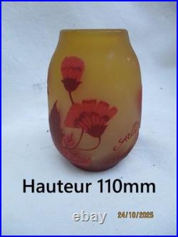 Vase signé GALLE TIP Décor floral dégagé à l'acide