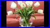 White-Tulips-In-Vase-Picture-Set-Of-Beautiful-Folwers-01-en